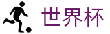 世界杯外围足球买球网 | 买球防骗提醒与防坑指南